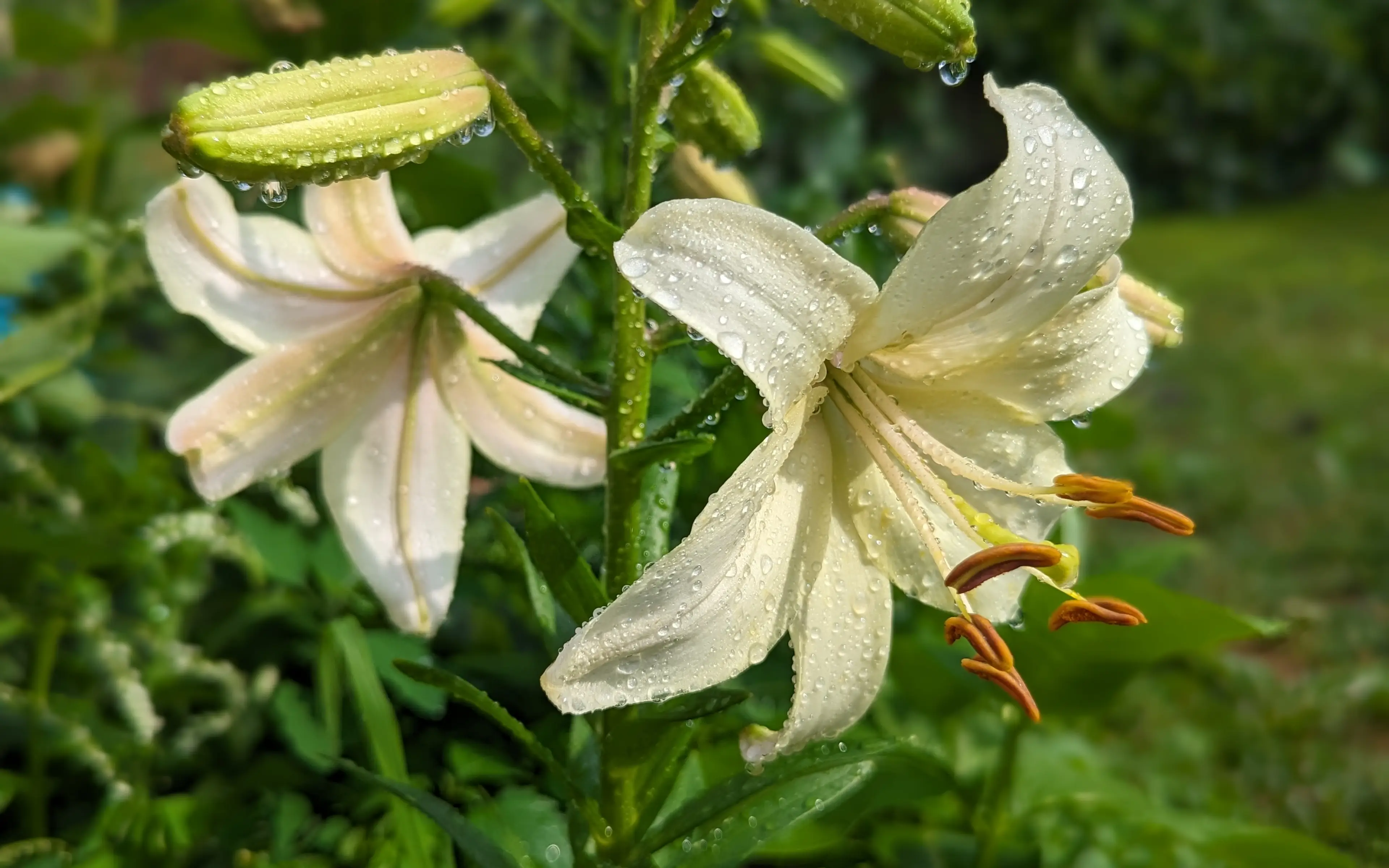 PXL_20230701_211448055.PORTRAIT