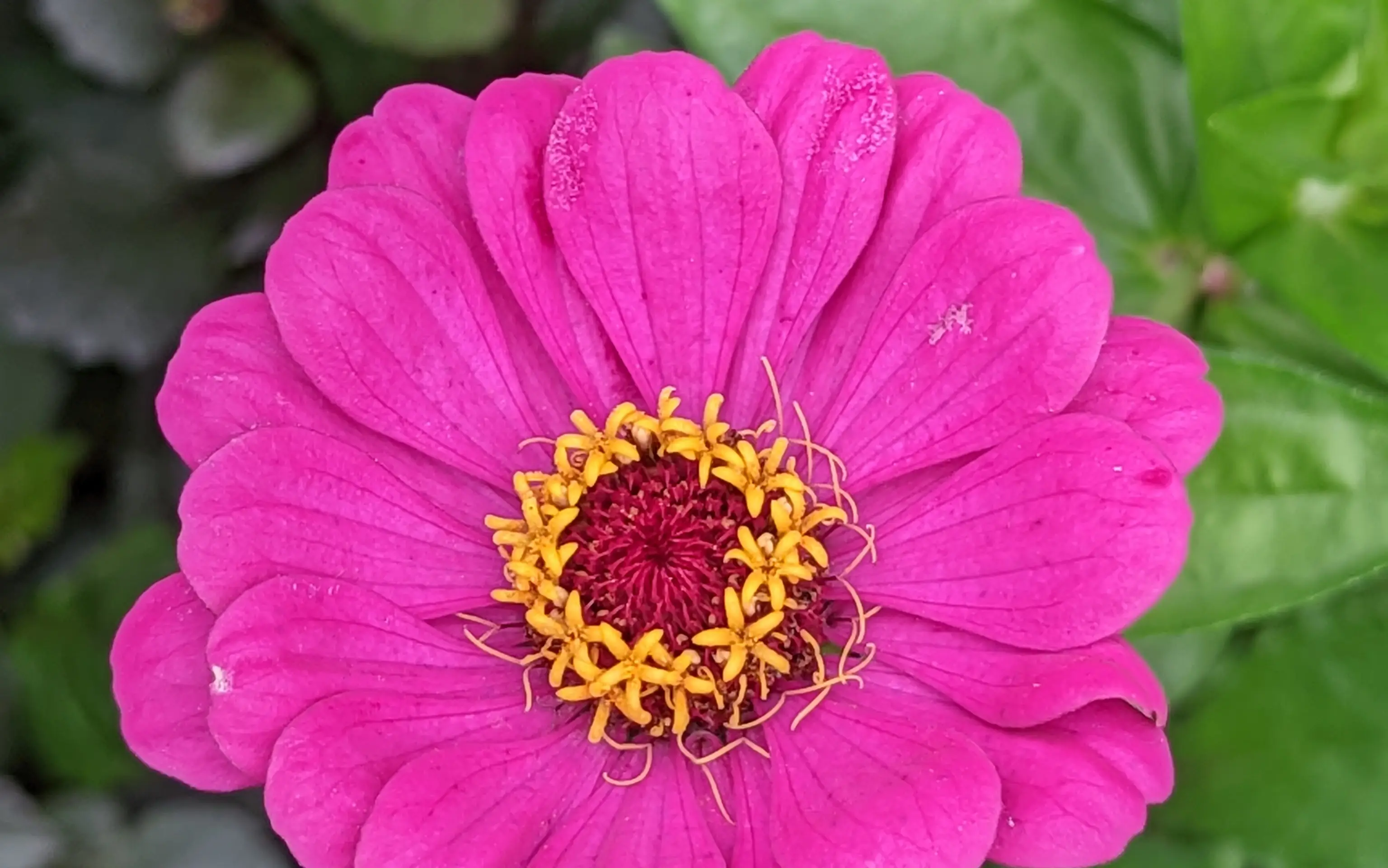 PXL_20220928_141054512