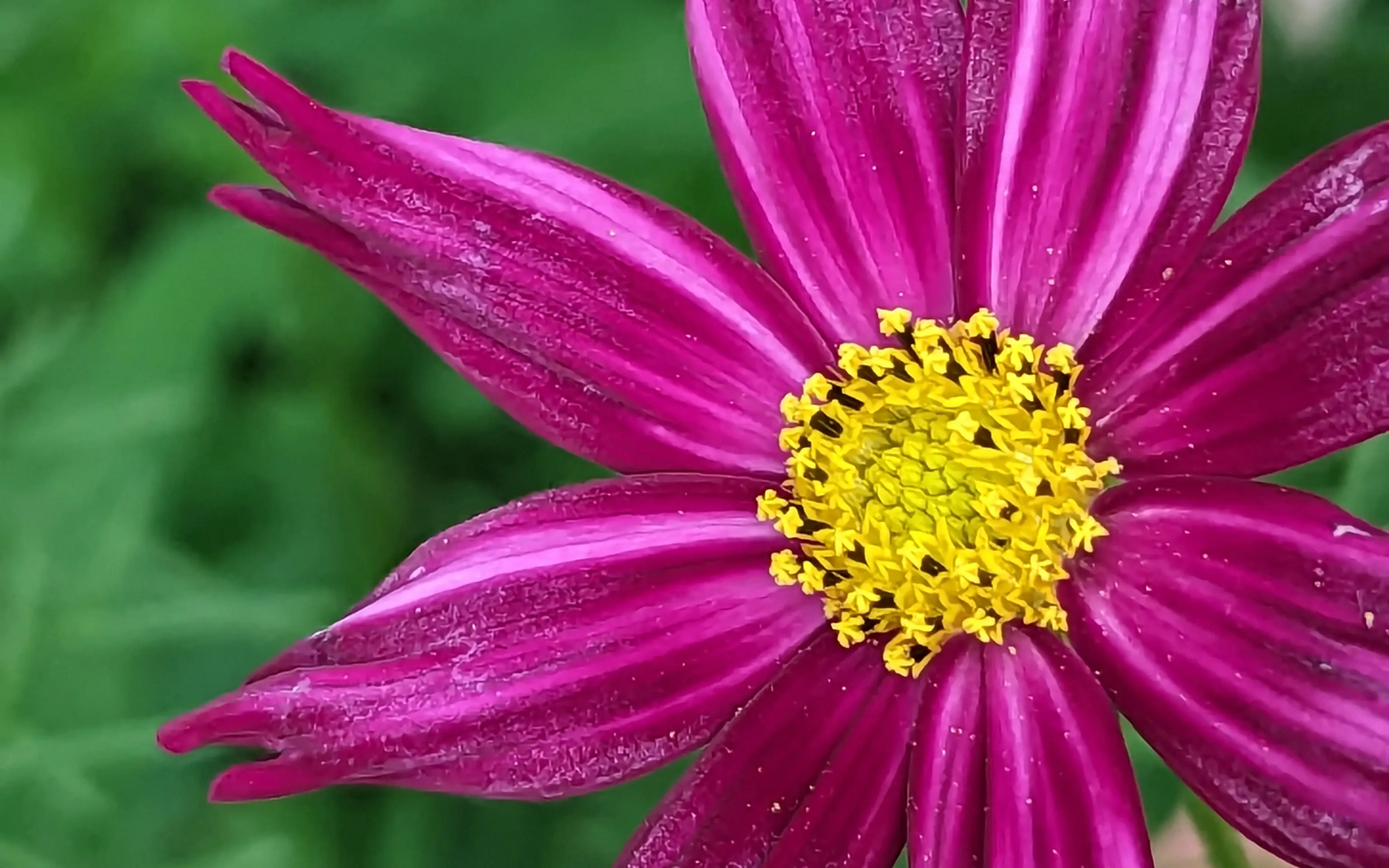 PXL_20230707_193049700