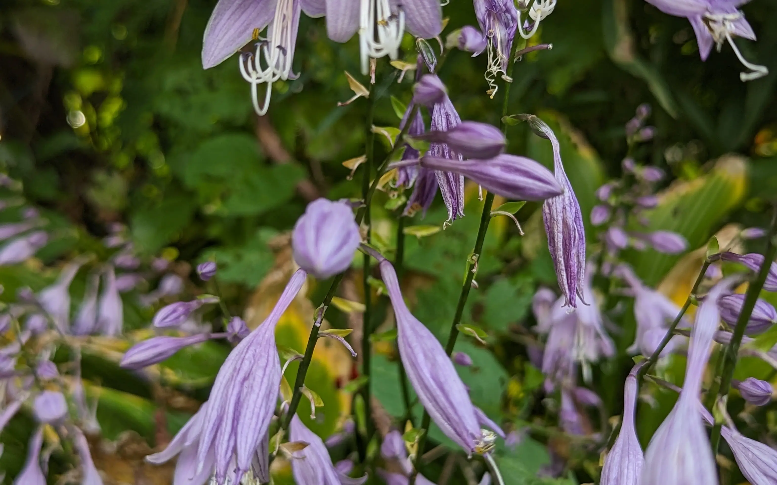 PXL_20230907_220003311