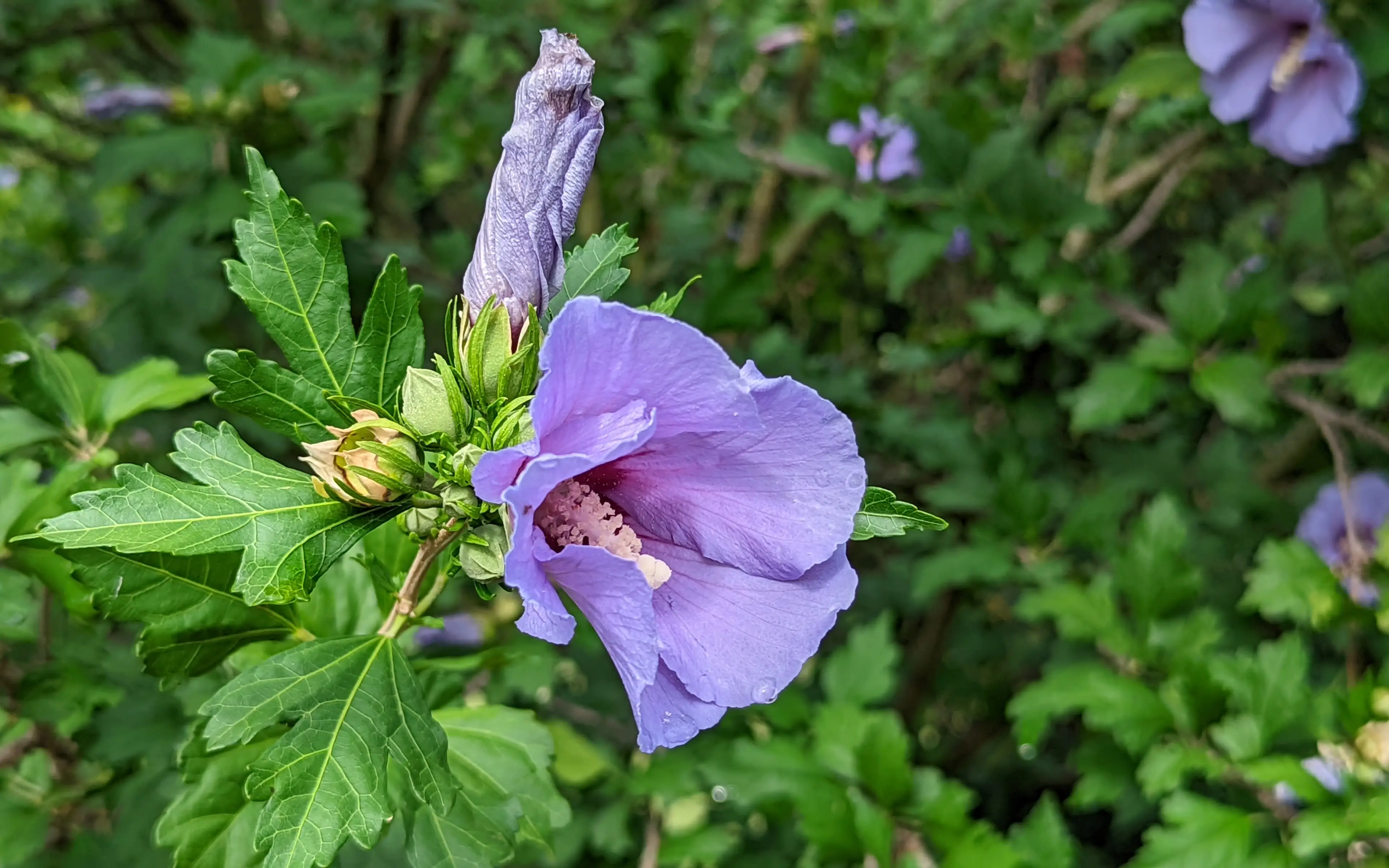 PXL_20220623_132416365