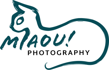 Miaou! Photography Logo